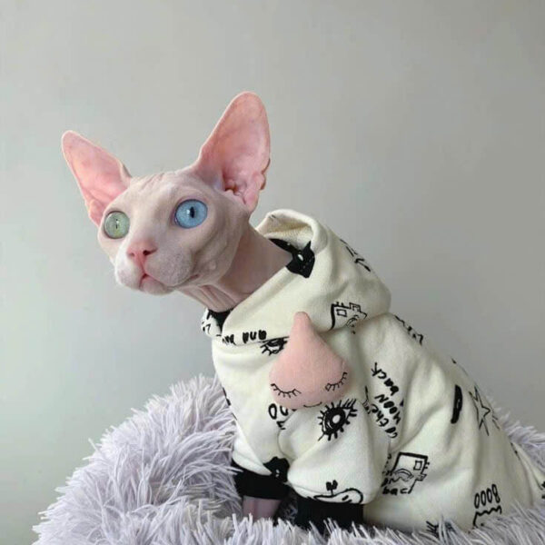 Mèo ai cập nhập khẩu mắt 2 màu 2